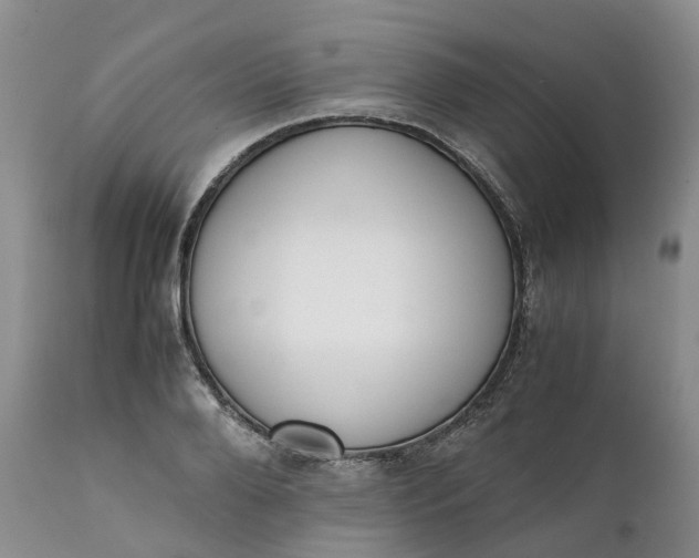 X0000111370888200907241243