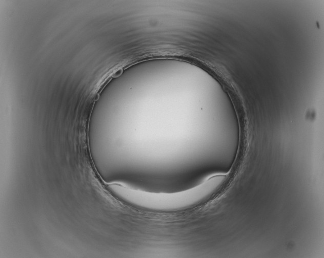 X0000111370889200907241243