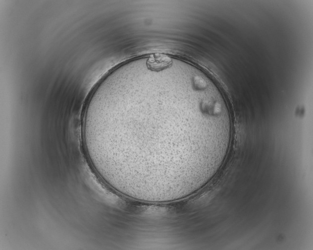 X0000111370890200907241243