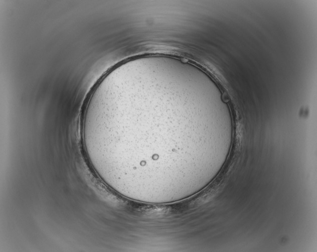 X0000111370891200907241243