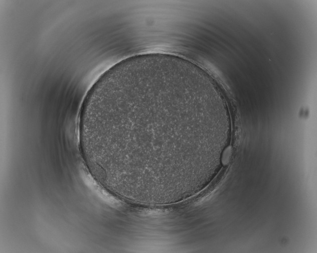 X0000111370892200907241243