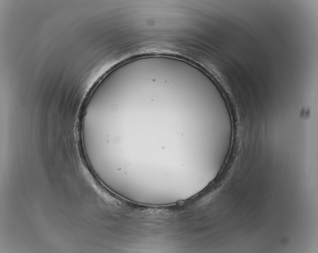 X0000111370893200907241243