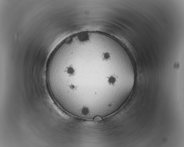 X0000111370894200907241243