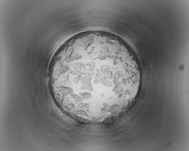 X0000111370895200907241243