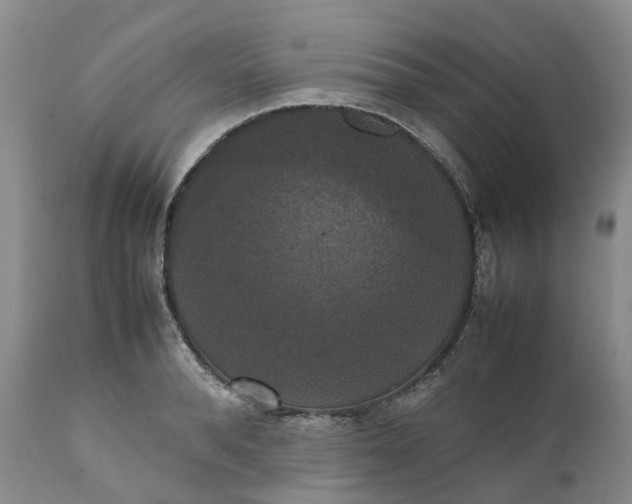 X0000111370896200907241243