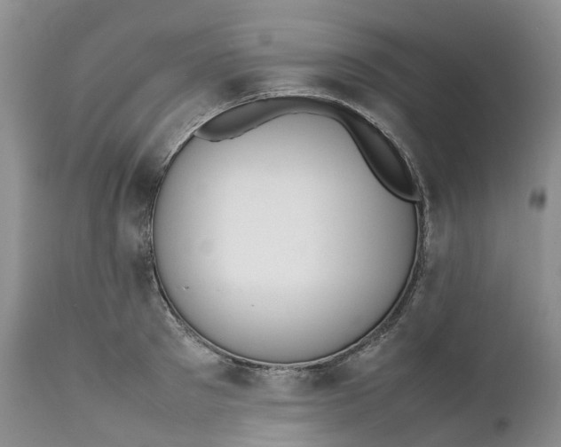 X0000111370897200907241243