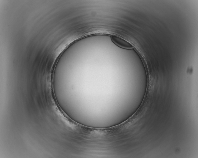 X0000111370898200907241243