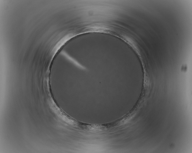 X0000111370899200907241243