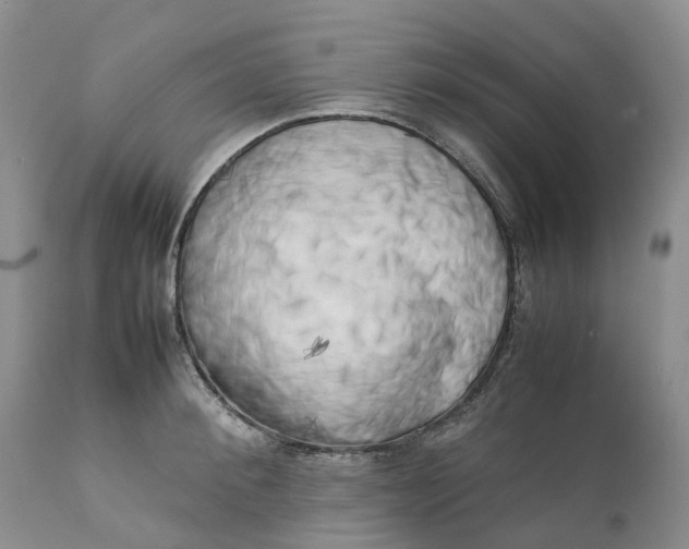 X0000111370900200907241243