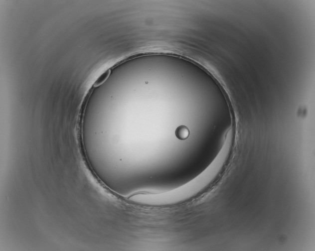 X0000111370901200907241243