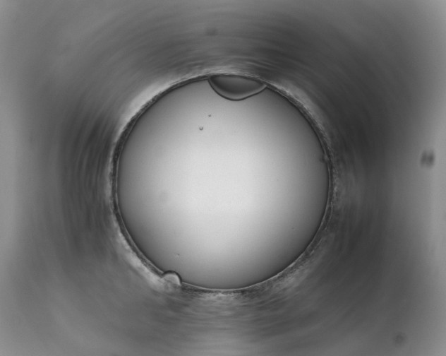 X0000111370902200907241243