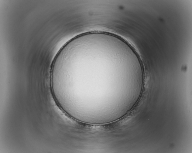 X0000111370903200907241243