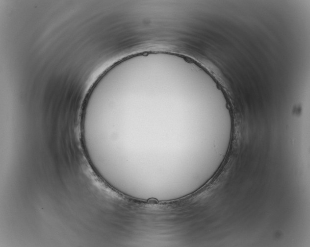 X0000111370904200907241243