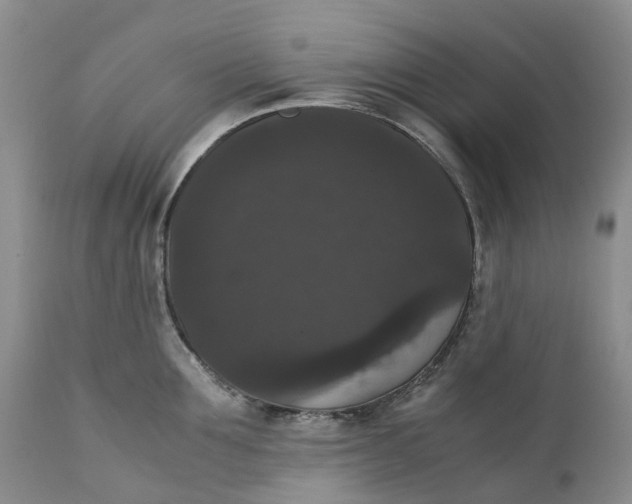 X0000111370907200907241243