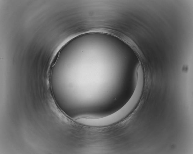 X0000111370908200907241243