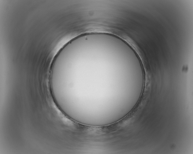 X0000111370909200907241243