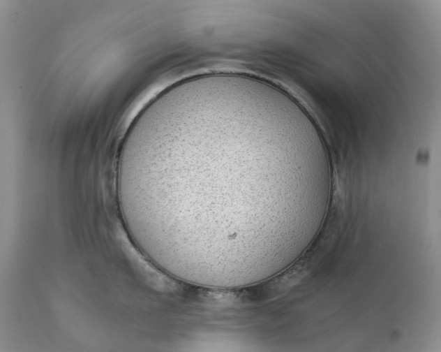 X0000111370911200907241243