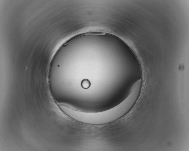 X0000111370912200907241243