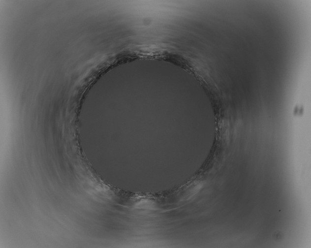 X0000111370913200907241242