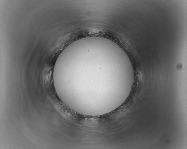 X0000111370914200907241242