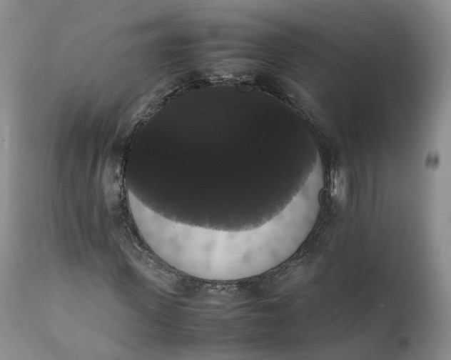 X0000111370915200907241242