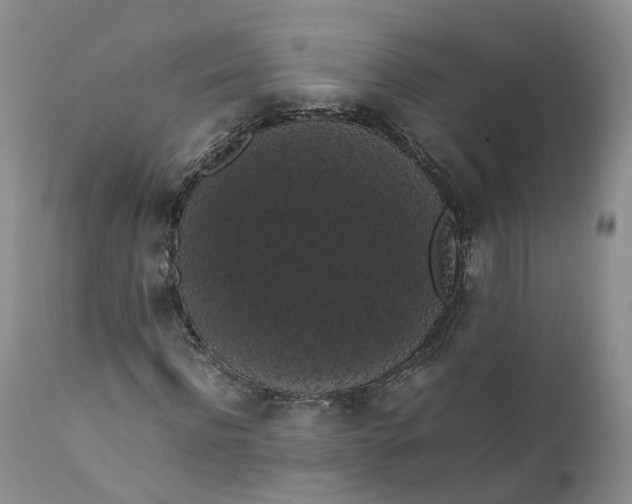 X0000111370916200907241242