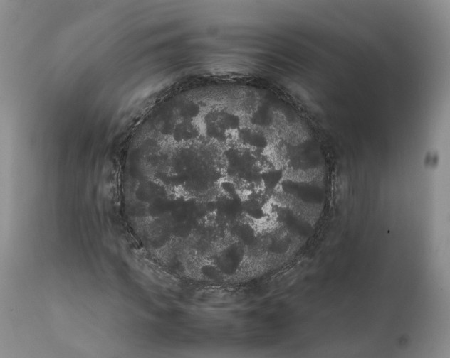 X0000111370917200907241242