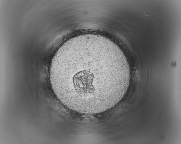 X0000111370918200907241242