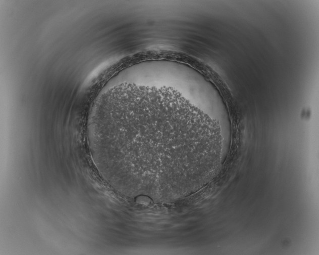 X0000111370919200907241242