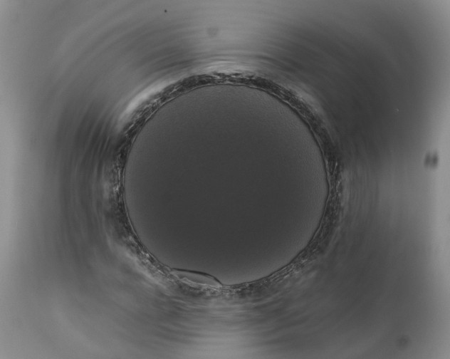 X0000111370920200907241242