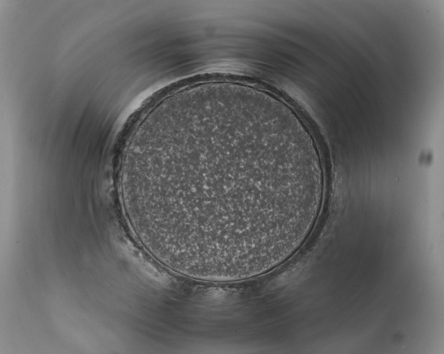 X0000111370923200907241242