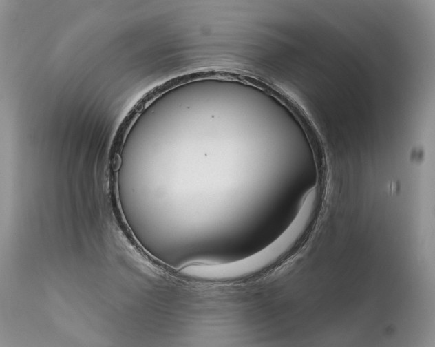 X0000111370924200907241242