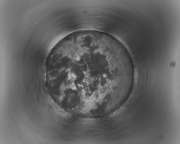 X0000111370925200907241242