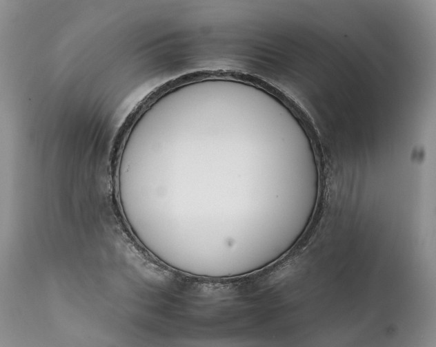 X0000111370927200907241242