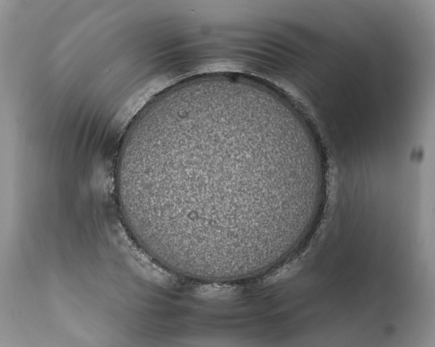 X0000111370929200907241242