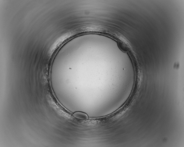 X0000111370930200907241242