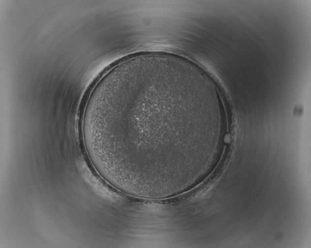 X0000111370932200907241242