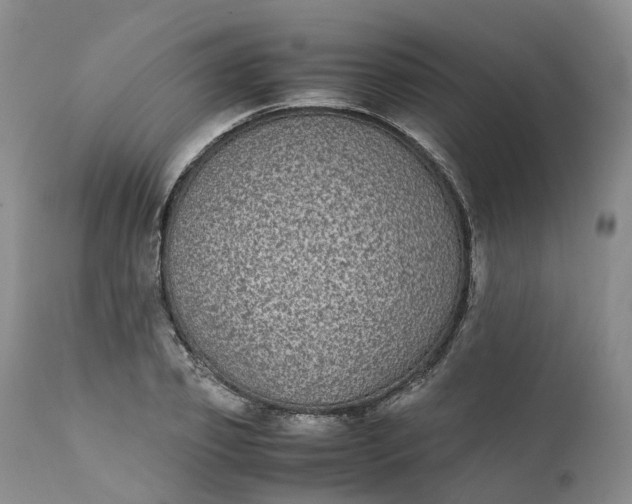 X0000111370933200907241242