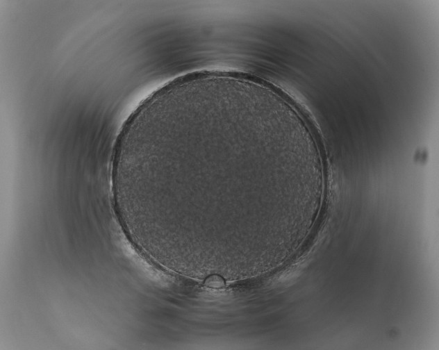 X0000111370935200907241242