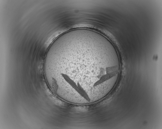 X0000111370937200907241242