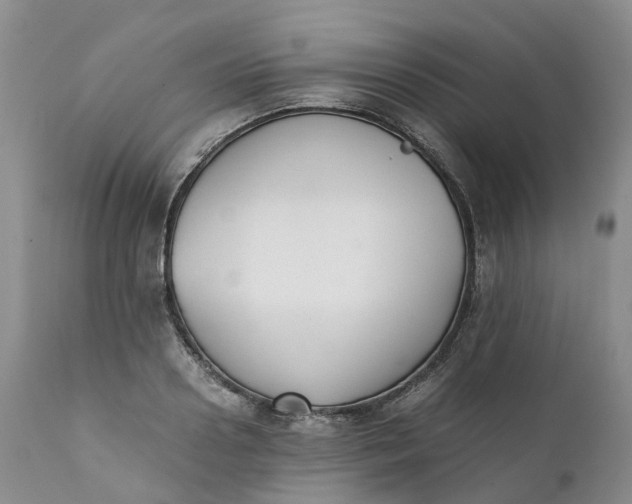 X0000111370938200907241242