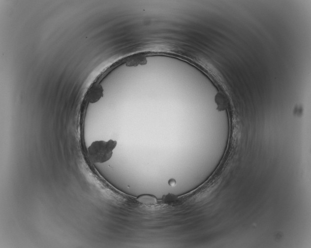 X0000111370939200907241242