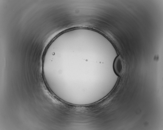 X0000111370940200907241242