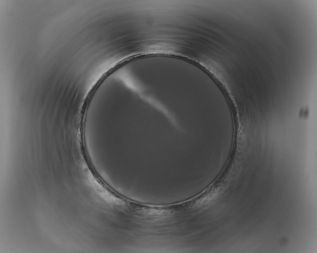 X0000111370941200907241242