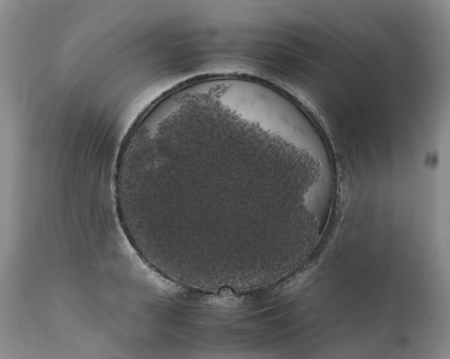 X0000111370943200907241242