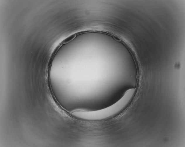 X0000111370944200907241242