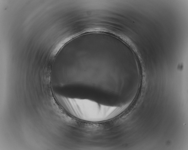 X0000111370945200907241242