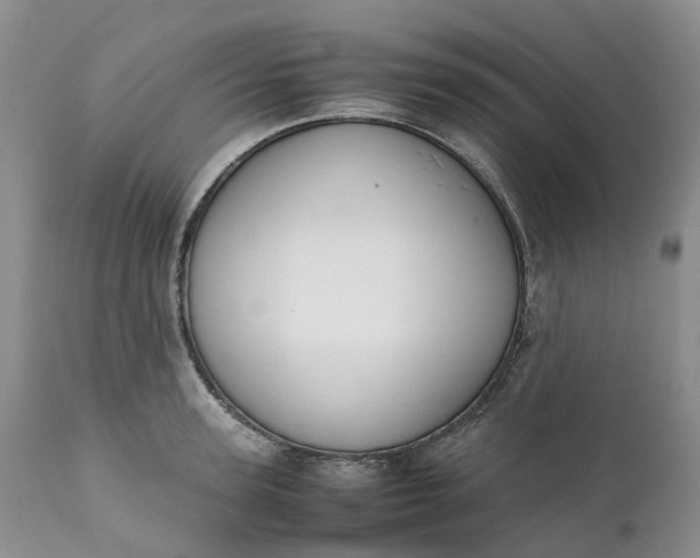 X0000111370947200907241242