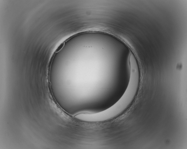 X0000111370948200907241242