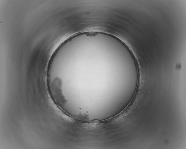 X0000111370949200907241242